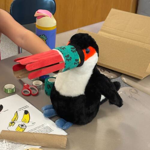 2026 East Kentwood Animal Prosthetics Camp